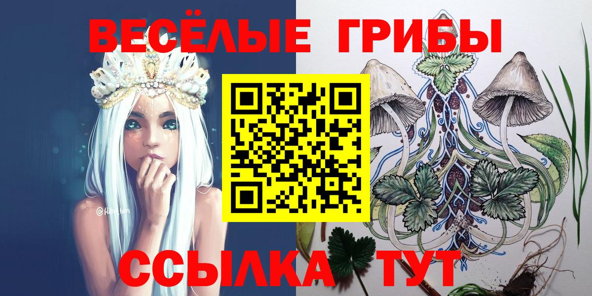 Галлюциногенные грибы прущие грибы Дальнегорск