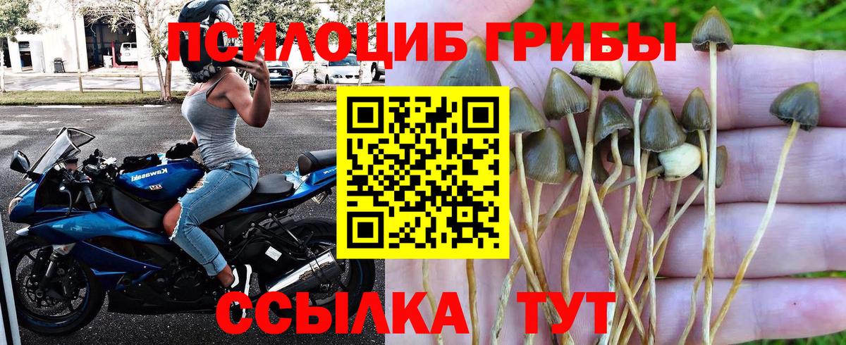Дальнегорск  Галлюциногенные грибы мухоморы  Вход с VPN 